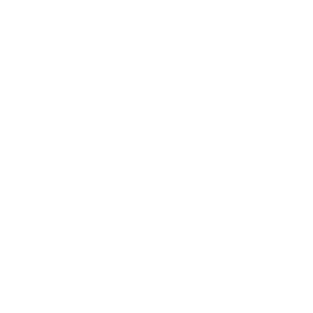 FlashBag